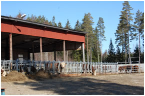 Ungdjurshallen